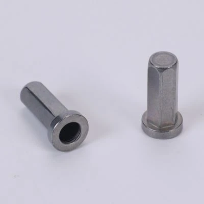 Nut di remache plat